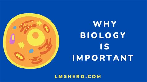 Explore 7 Reasons Why Biology Is Important Lms Hero