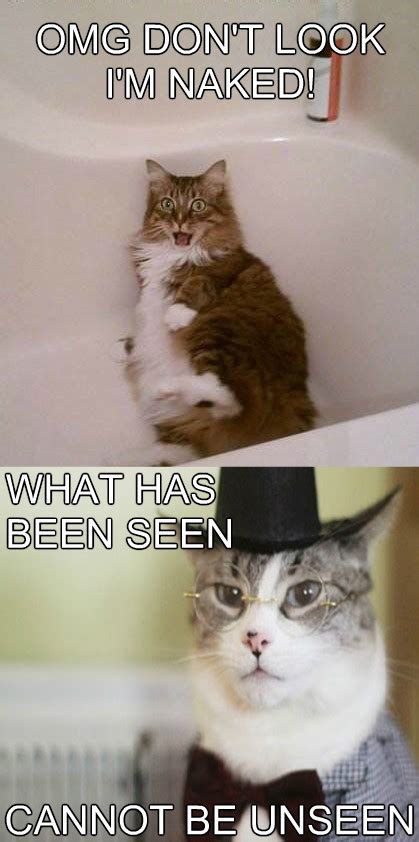Naked Cat Meme Slapcaption Cat Memes Pinterest Meme Cat Sexiz Pix
