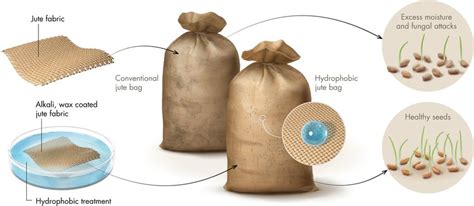 Schematic Showing The Surface Treatments Of Jute Bags With Alkali And