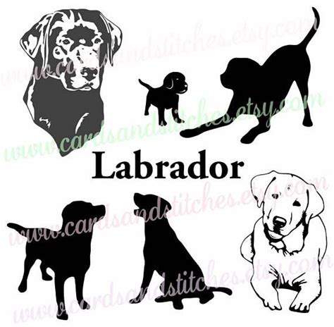Labrador Svg Labrador Silhouettes Dog Svg Digital Cutting File