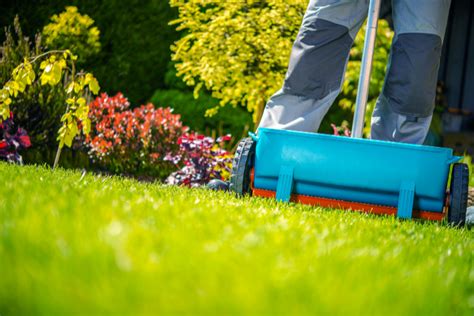 Lawn Maintenance Tips For Fall