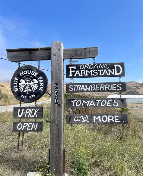 Strawberry U Pick And Farmstand — Blue House Farm