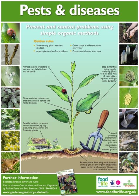 Emerging insect pests in the pacific northwest. Pest and Plant Disease ~ Teacher Guide, Organic Gardening ...