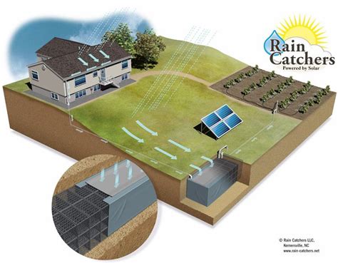 Diagram Rain Catcher Rainwater Harvesting Rainwater Harvesting System