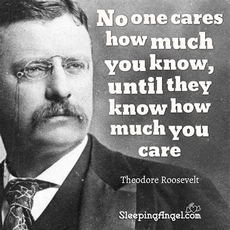 Theodore Roosevelt Famous Quotes Shortquotescc