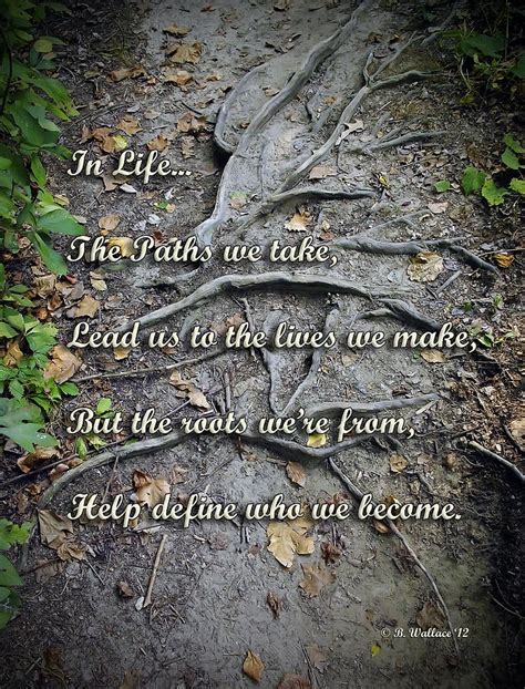 Roots Poem Photograph By Brian Wallace Pixels