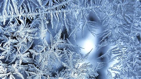 Hd Wallpaper Frosted Glass Hqx Cold Temperature Snow Winter Frozen