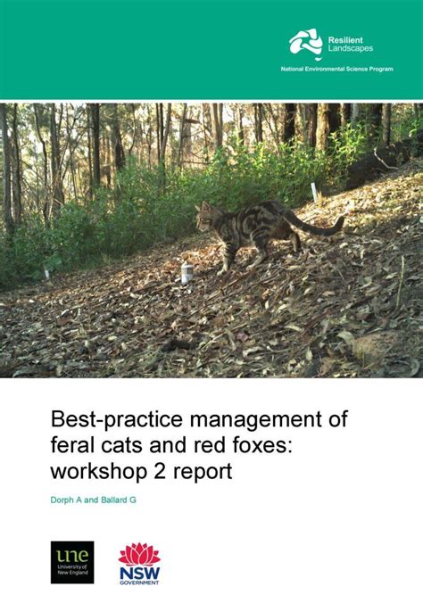 Best Practice Management For Feral Cats And Red Foxes Nesp Resilient