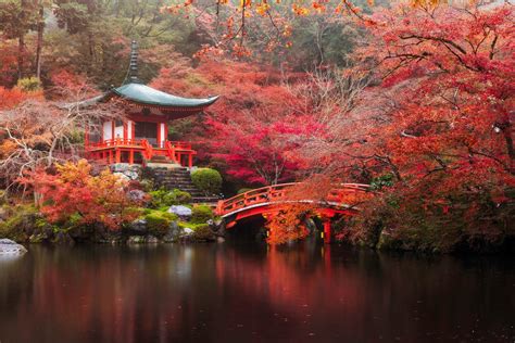 Download Nature Tree Kyoto Pond Bridge Pagoda Park Fall Japan Religious