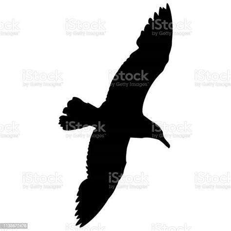 Silhouette Of A Single Seagull With Wings Spread Wide Open Soaring High Above The Sea Stock