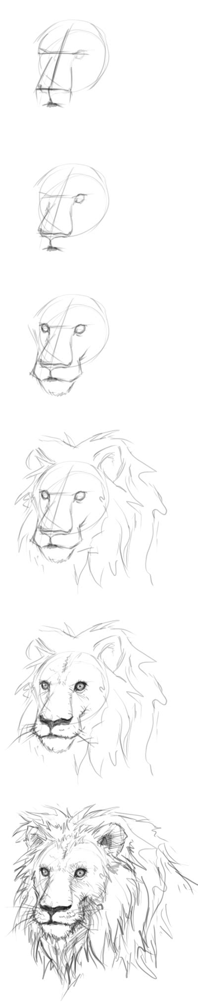 Once you're pleased with it, complete the line by transforming it into a. How to draw lion - drawing and digital painting tutorials ...