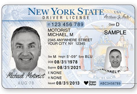 Undocumented Immigrants In Ny Can Obtain Drivers Licenses