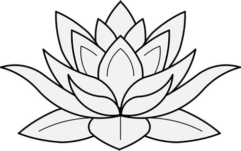Simple Lotus Flower Drawing Images Perangkat Sekolah