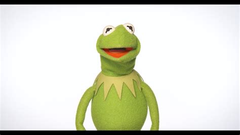 Happy New Year From Kermit The Frog The Muppets Affluxtv