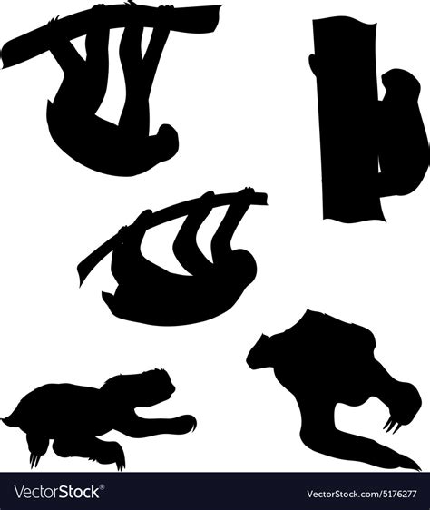 Silhouettes Of A Sloth Royalty Free Vector Image