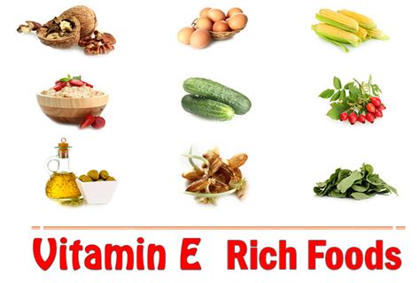 From the dog's tolerance and need, the vet recommends the dosage of vitamin c between 100 to 500 mg per day. Top 20 Vitamin E Rich Foods To Include In Your Diet