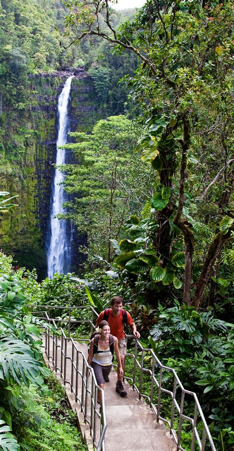 Hike To Akaka Falls On The Big Island Of Hawaii Big Island Hawaii