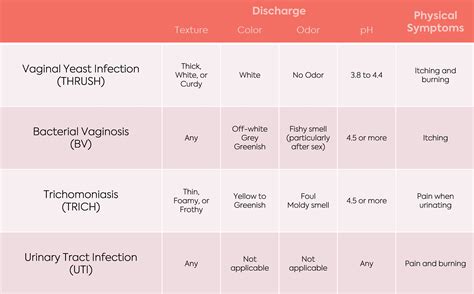 Is It A Yeast Infection Bv Trich Or Uti Know The Difference