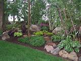 Images of Landscaping Rocks Under Trees