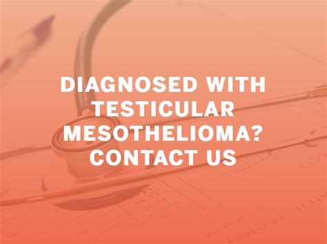 Testicular Mesothelioma Symptoms Stages And Treatment