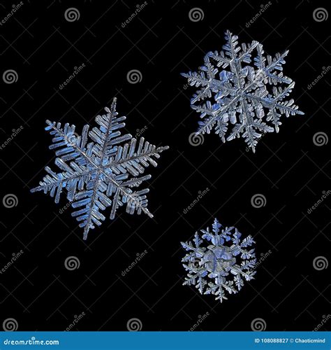 Three Snowflakes Isolated On Black Background Stock Image Image Of