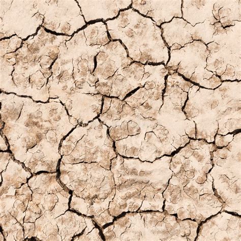 Cracked Earth Texture Stock Image Image Of Dirt Concept 30993271