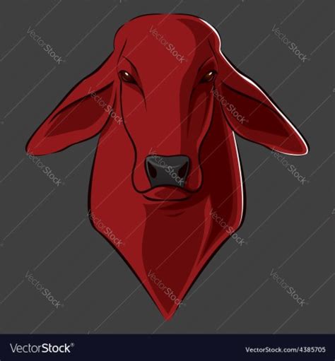 Wallpaper Brahma Bull Logo