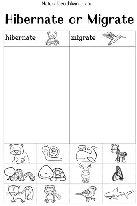 Plants and animals worksheets for kindergarten. You'll Love These Winter Animals for Preschool Ideas ...