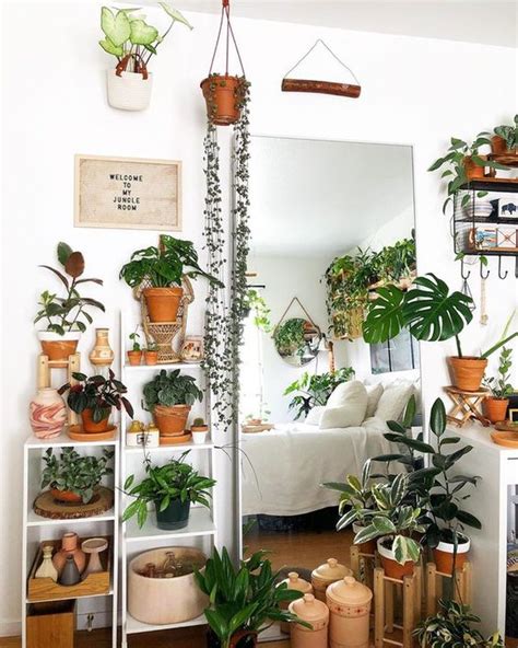 Plant Themed Bedroom Ideas And Inspiration Hunker