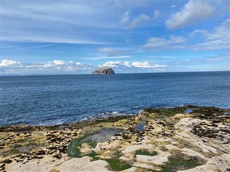 Seacliff Beach North Berwick 2020 All You Need To Know Before You