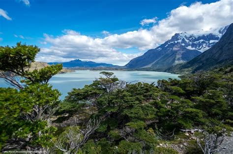 Patagonia Total El Calafate El Chaltén Torres Del Paine Walk