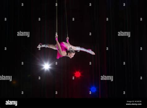 Circus Artist Acrobat Performance The Girl Performs Acrobatic Elements