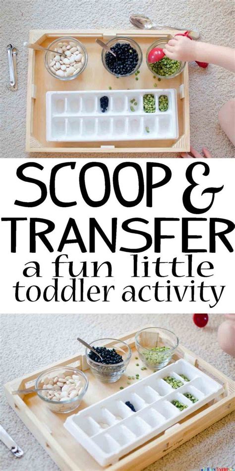 Scoop And Transfer Busy Toddler Toddler Learning Activities