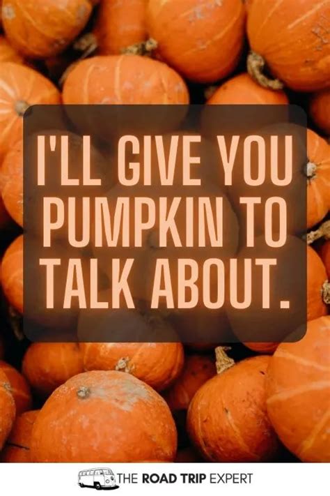 100 Cute Pumpkin Patch Captions For Instagram With Quotes