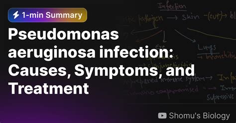 Pseudomonas Aeruginosa Infection Causes Symptoms And Treatment