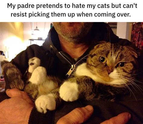19 Dads Who Didnt Want A Cat And Came Around Real Fast