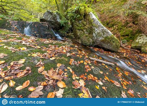 Cascade Falls Over Mossy Rocks In Autumn Stock Image Image Of Fresh