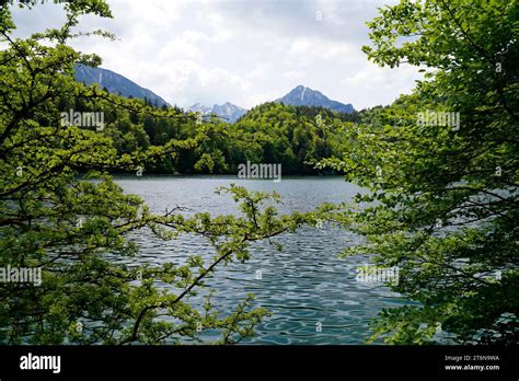 Transparent Emerald Green Waters Of Lake Alatsee In Fuessen With The