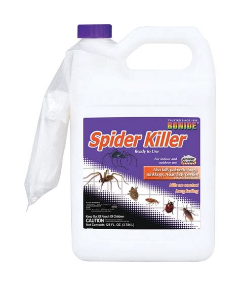 Best Spider Killer Spray In India Stunner Microblog Sales Of Photos