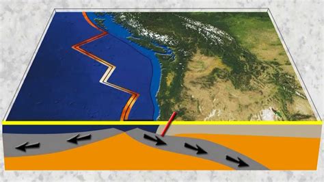 Plate Tectonics Seafloor Spreading Subduction And Megathrust