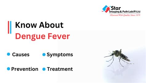 Dengue Fever Symptoms Causes And Treatments