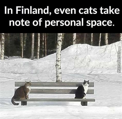 The best finnish memes and images of february 2021. Finland Memes. Best Collection of Funny Finland Pictures