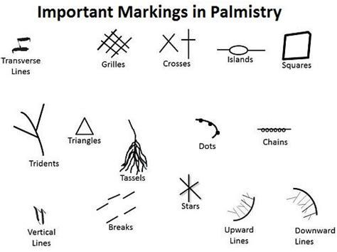 Meanings Of Markings And Symbols In Palm Palmistry