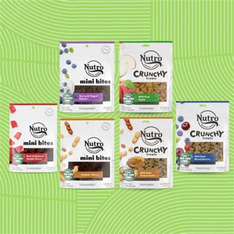 Nutro Crunchy With Real Peanut Butter Dog Treats 10 Oz Bakers