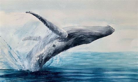 30 Whale Watercolor Painting Ideas