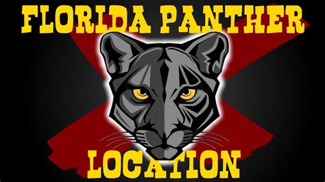 The only known wild breeding population occurs in south florida within the big cypress swamp region. RDR2 ONLINE FLORIDA PANTHER LOCATION - YouTube
