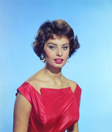 Sophia Loren Sophia Loren Sofia Loren Beauty