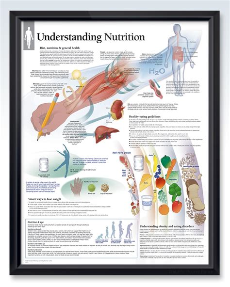 Understanding Nutrition Exam Room Anatomy Poster Clinicalposters