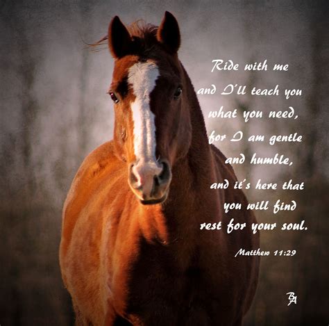 My Horse Foster I Love This Cowboy Bible Verse Pferde Zitate