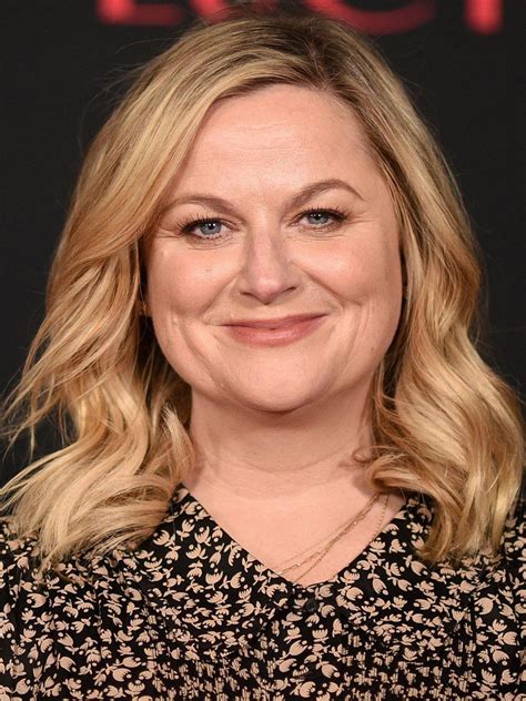 Amy Poehler Pictures Rotten Tomatoes